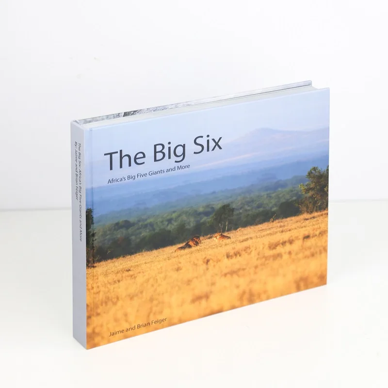 Китайские пользовательские печатные книги