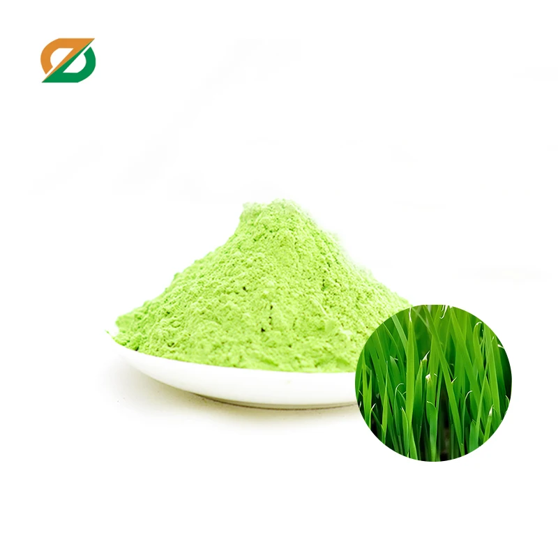 High Quality Juice Product Type barley grass leaf Extract Juice