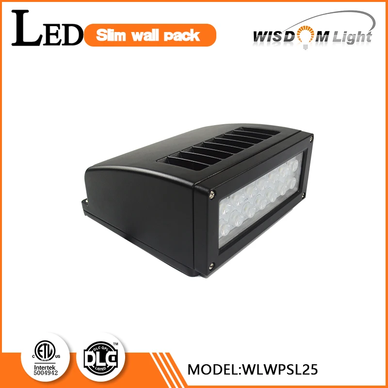 Китай новинка IP65 драйвер литого под давлением алюминия из светодиодов настенный монтаж огни