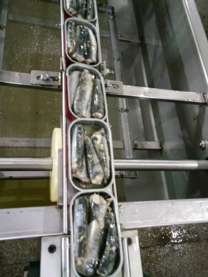 canned sardine from morocco ingredient canned sardine fish in oil