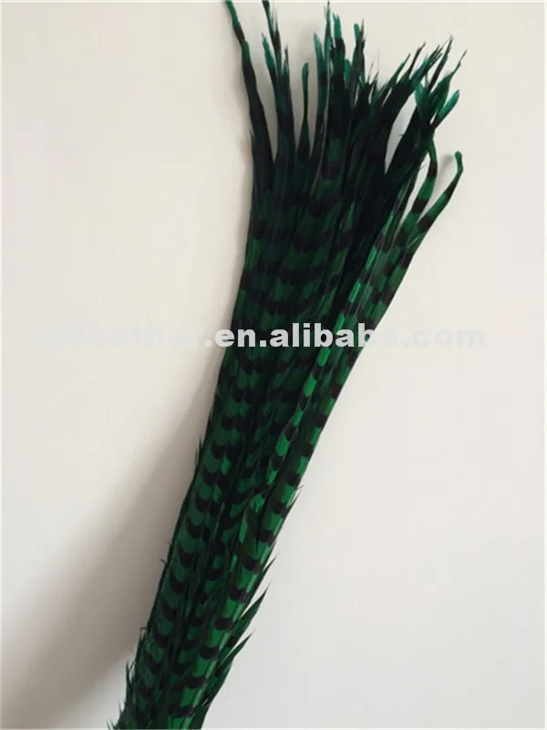 
manufacturer supplier dyed long reeves pheasant tail feathers for carnival festival 