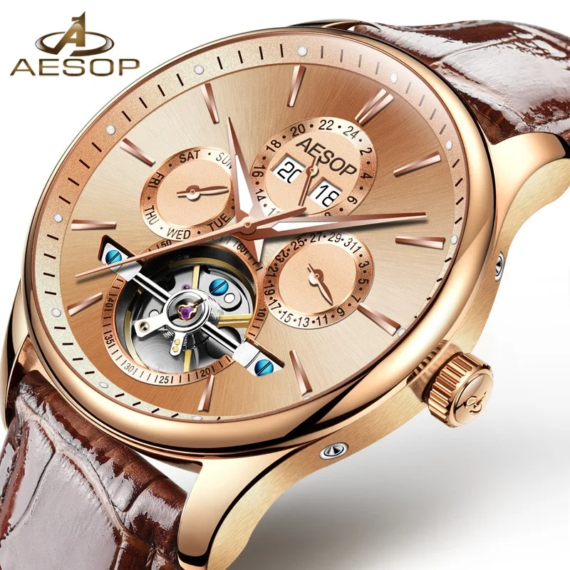 AESOP Brand Fashion Men stainless steel case genuine leather Chronograph automatic Quartz watch