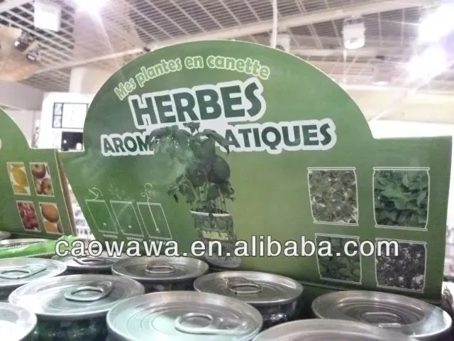 Подарок «сделай сам», Оловянная банка, цветок, мини-растение, офисные декоративные растения с семенами трав