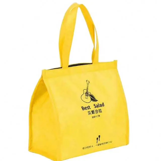 
Custom promotional cheap non-woven isothermal can cooler bag 