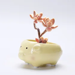 Cartoon Succulent Flowerpot Ornaments Small Ceramic Animal Planters for Home, Garden Used with Flower/green Plant Glazed Desktop