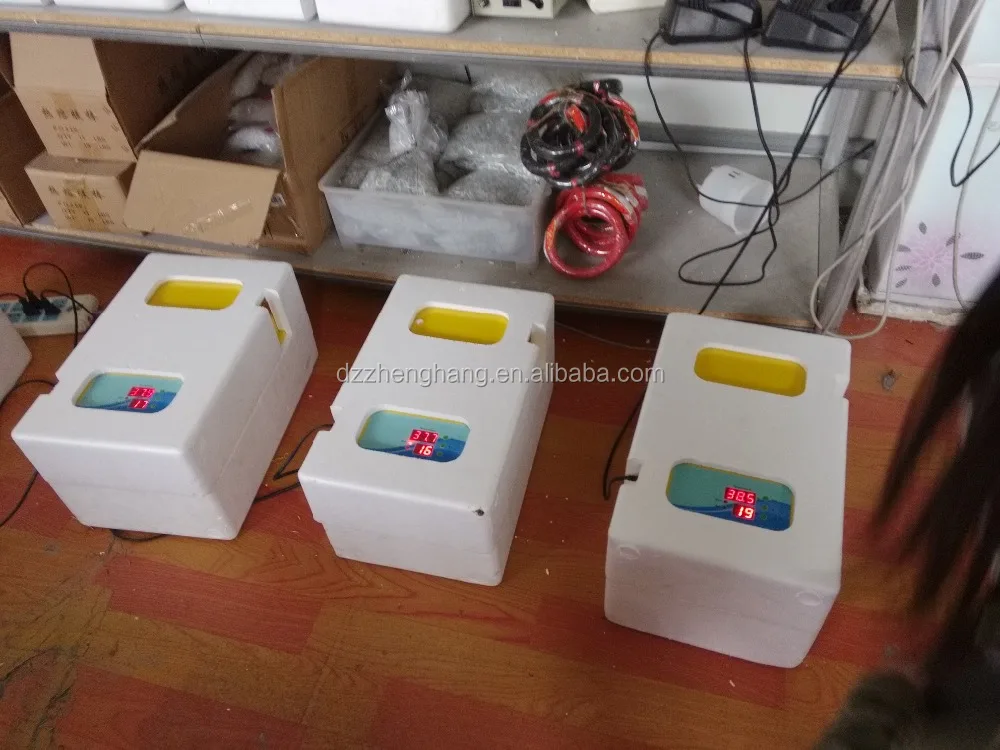 Top selling newly design full automatic mini egg incubator hatching 9eggs for sale