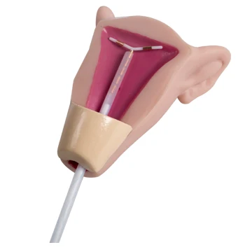 General Doctor IUD Training Model(medical educational equipment)