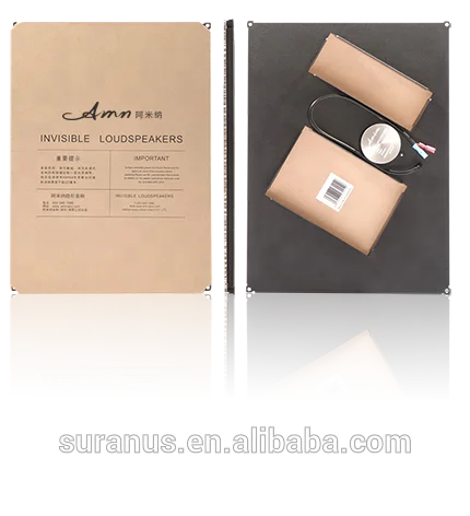 Fashion simple best sound invisible smart sound speaker for background music manufacturer AMN-A1M