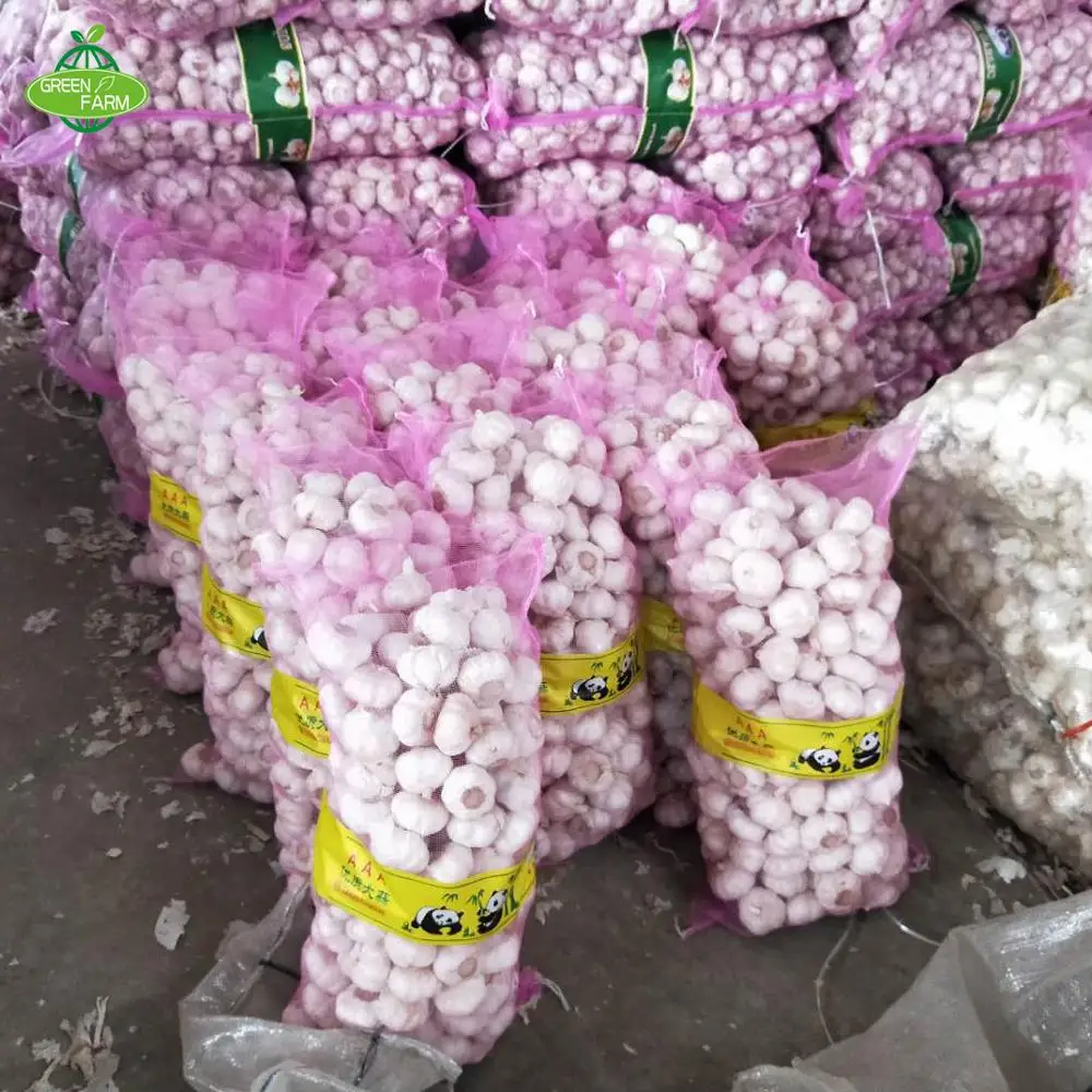 2023 свежий нормальный чеснок 5,0 см, 5,5 см, 6,0 см в сетчатых мешках 10 кг чеснока