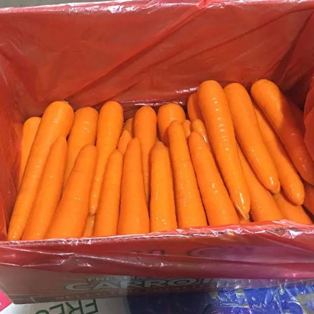 New Season Fresh Carrot Supplying All the Year Round