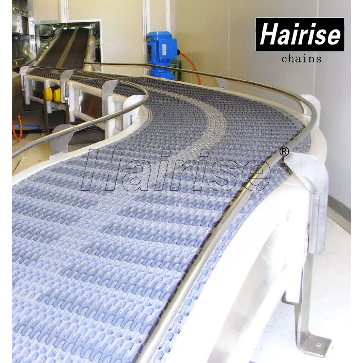 Hairise pharmaceutical extendable floor pallet handling chute baggage running machine meat conveyor belt systems services bucket