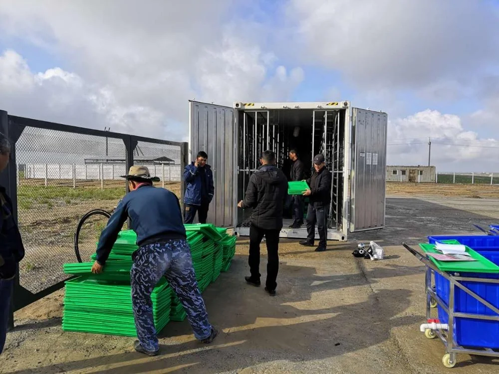 Water-saving feed machine hydroponic system container hydroponic system container seedling barley sprouting machine