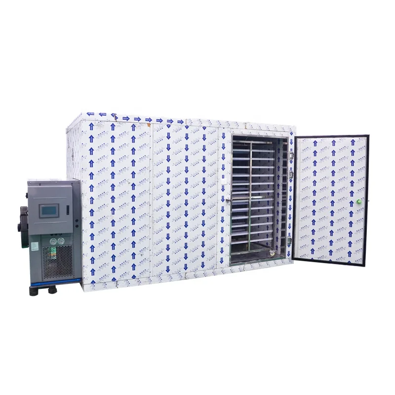 
Industrial Commercial Food Dehydrator Vegetable Drying Machine Litchi Heat Pump Dryer 