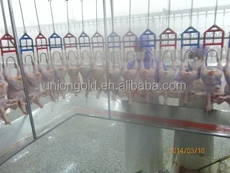 Halal Frozen Chicken Shawarma / Halal Boneless Whole Chicken