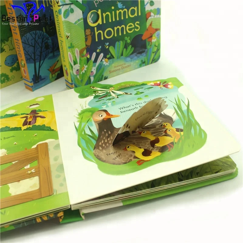 Полноцветная симпатичная книжка CMYK с откидной крышкой