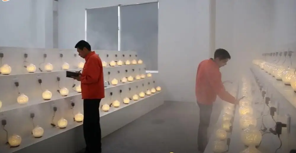 Portable Cool Mist Wood Grain Electronic Ultrasonic Essential Warm Light Wooden Aromatherapy Aroma Diffuser