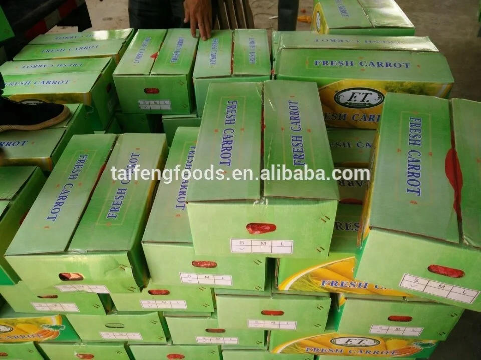 2020 урожай, оптовая продажа, картонная упаковка carot/свежей моркови