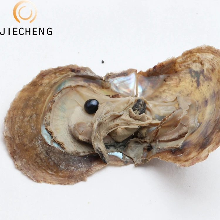 Оптовая продажа вакуумная упаковка 6-8 мм Свободные Круглые бусины Akoya для соленой воды с черным жемчугом