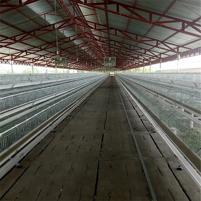 Auto-Feeding Drinking Egg Collection and Manure Cleaning A-Type Layer Cage 3-Tier 3-Row Battery Broiler Cage for Chicken Farms