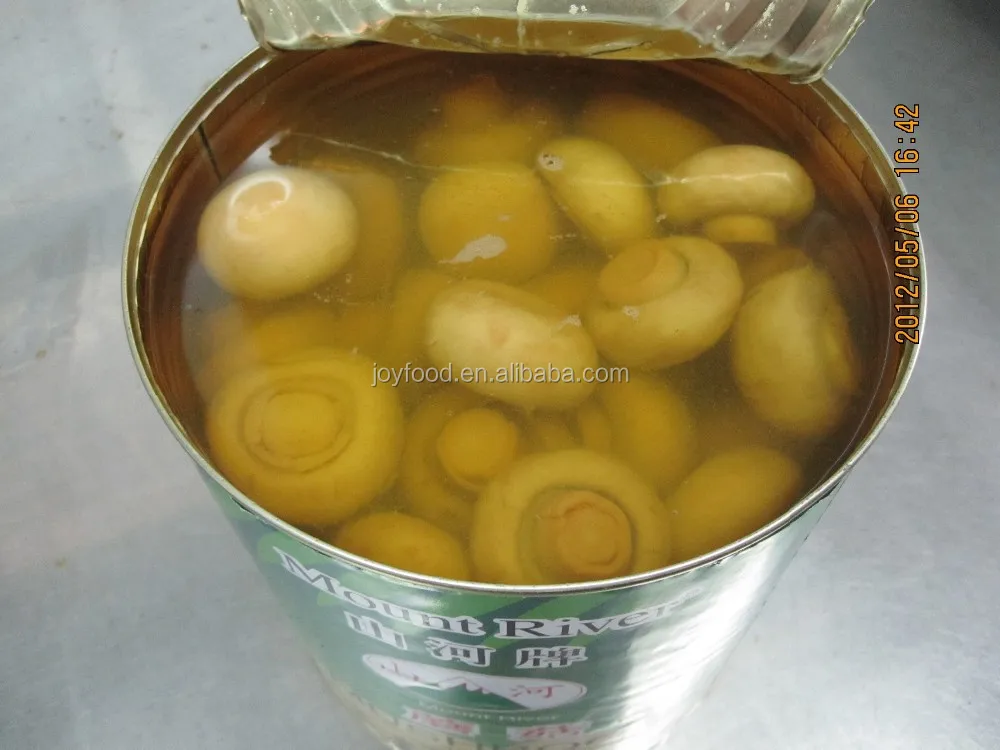 
Good Quality New Crop Canned Mushroom 
