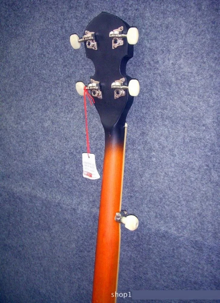Weifang Rebon 5 string  banjo