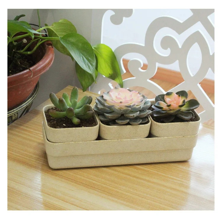 Popular design biodegradable bamboo fiber flower pot with tray