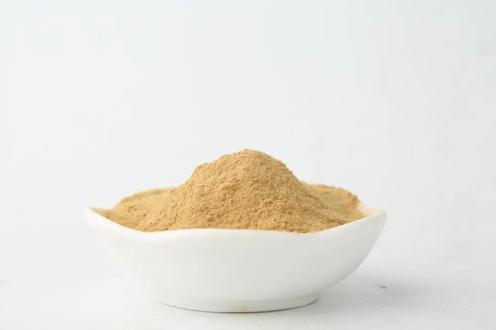 Wholesale High Quality Agaricus Blazei Polysaccharides Murill Mushroom Extract