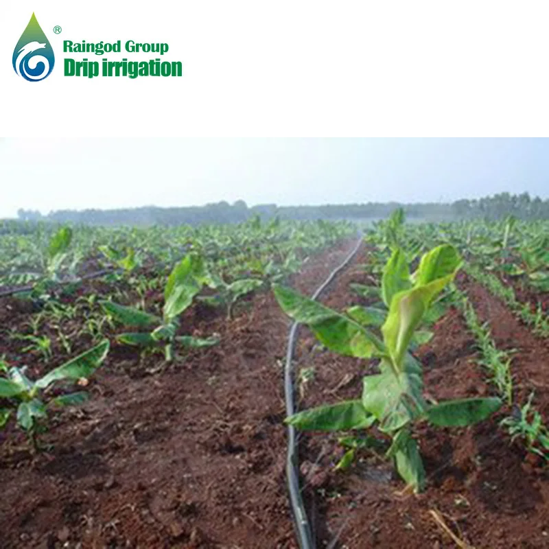 water saving agricultural laser spraying rain hose