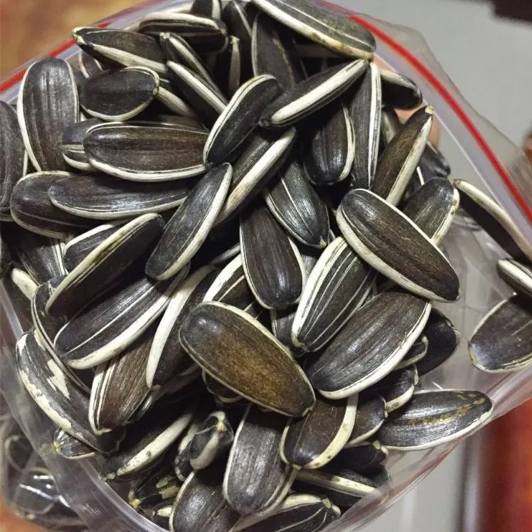 agricultural crops of egypt oil sunflower seed ton price sunflower seeds