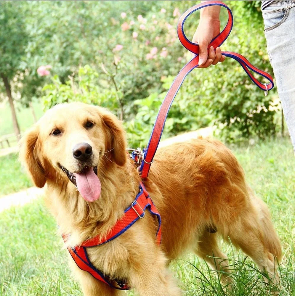 3 PCS Pet Collar Harness & Leashes Nylon Dog Leads Large Dog High Quality Dog Leashes
