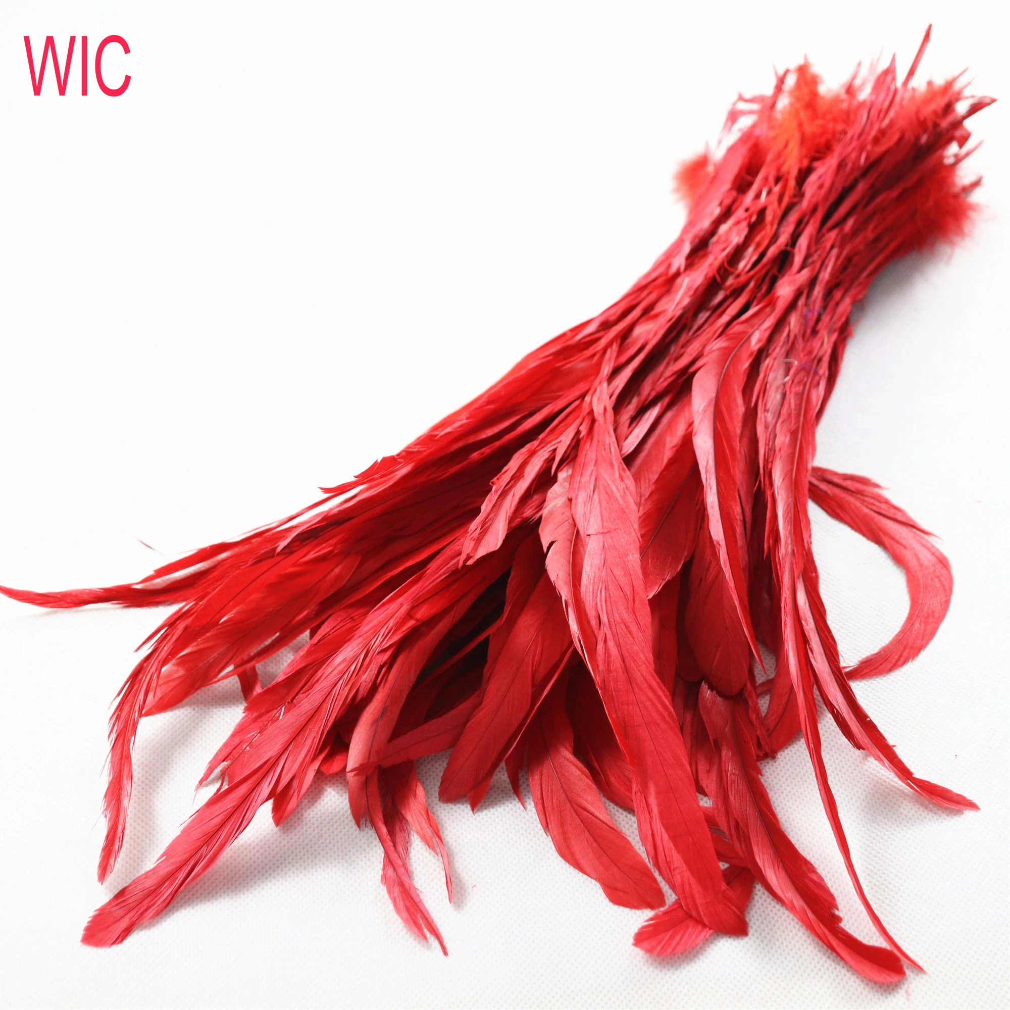 Cheap Wholesale Dyed Fashion Rooster Tail Feather Color Long Cock Chicken Feather for Carnival Costumes