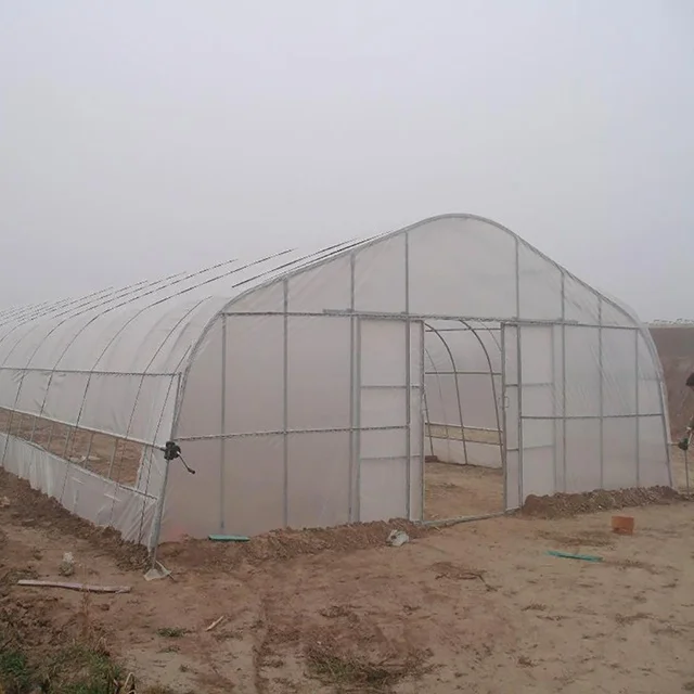 Plastic Film Greenhouse for Agriculture Multi-span Agricultural Greenhouses JY Good Price Plastic Hot Galvanized Steel Structure