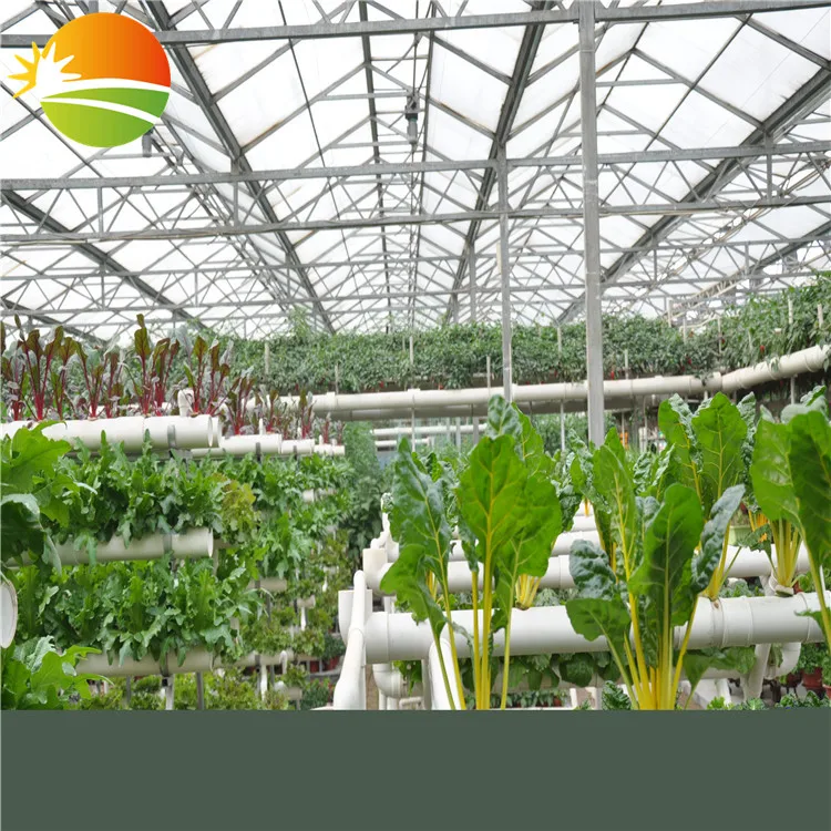 hydroponic greenhouse China Gold Supplier