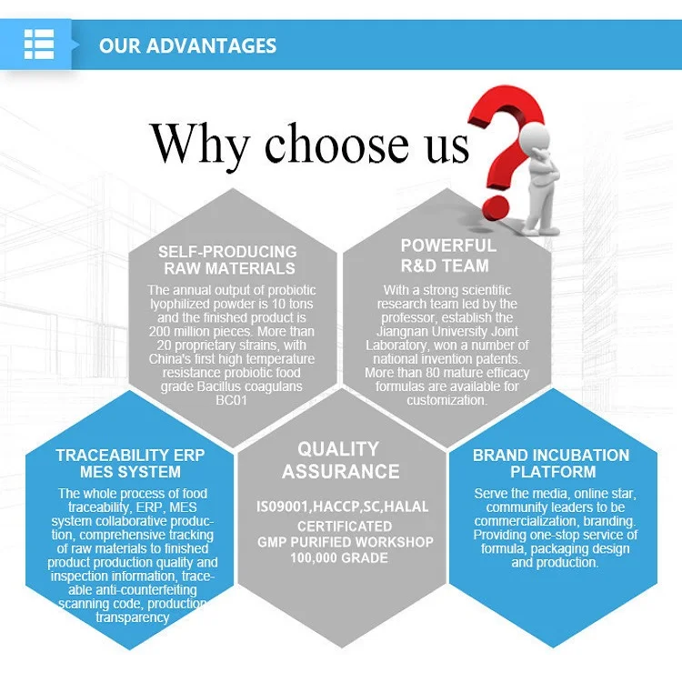 Food grade probiotics bulk  Lactococcus Lactis Susp Probiotic powder