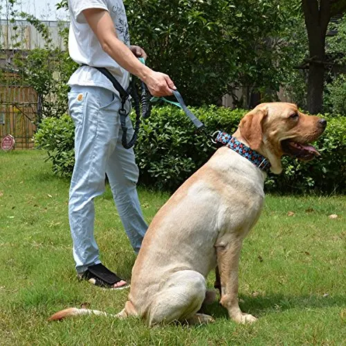 Heavy Duty Adjustable Print Pet Large Nylon Dog Training Collar Martingale Dog Collars