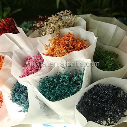 Yunnan High Quality China Online Shopping Preserved Eternal Fresh Cut Flowers Limonium Plant For Bouquet home table decoration