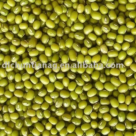 mung bean  La Chine du haricot mungo