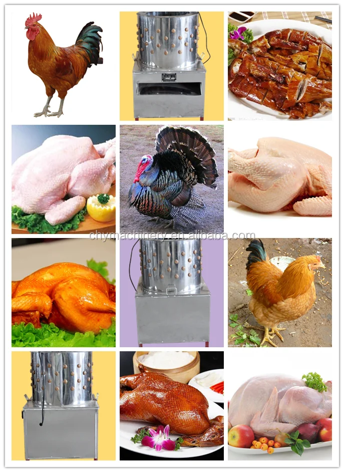 Птицы скольдер для курица турции утка и гусь конкурентоспособная цена