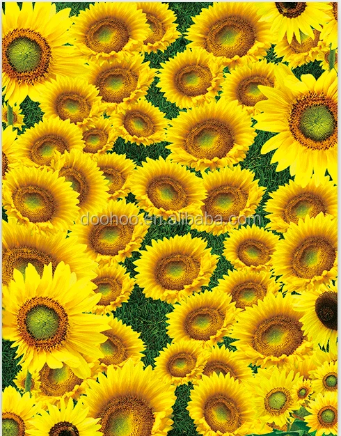 PET lenticular 100 lens flipping 3d effect postcard