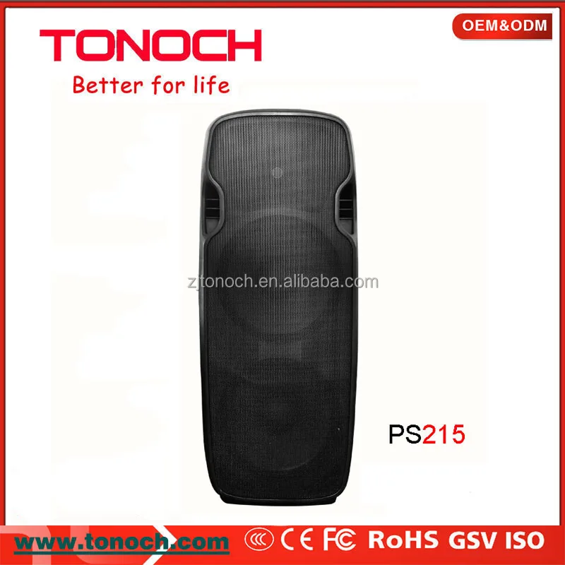 Dual 15 Inch Professional Indoor Active speaker powered speaker