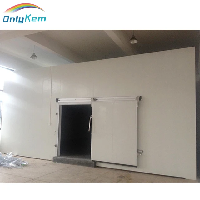 Customized dimension cold freezer room