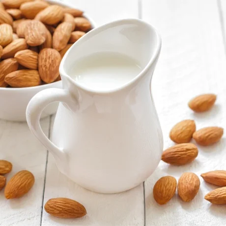almond milk processing production plant machines turn-key