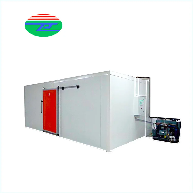 Newly Design Banana Cool Room cold room storage meats clean cold room for sale