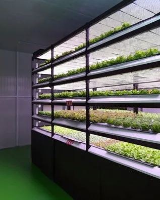 CE, fcc, ROHS IP66 IK10 импорт бизнес-идей 8ft линейный свет противоугонная led светильники