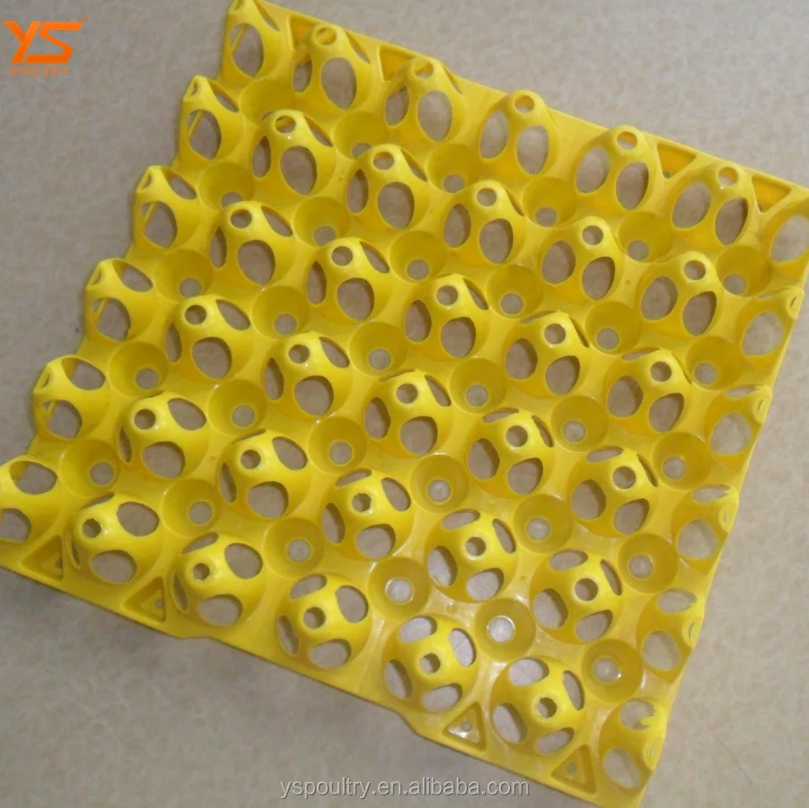 Factory Sale Plastic Egg Tray Made By PE Plastic
