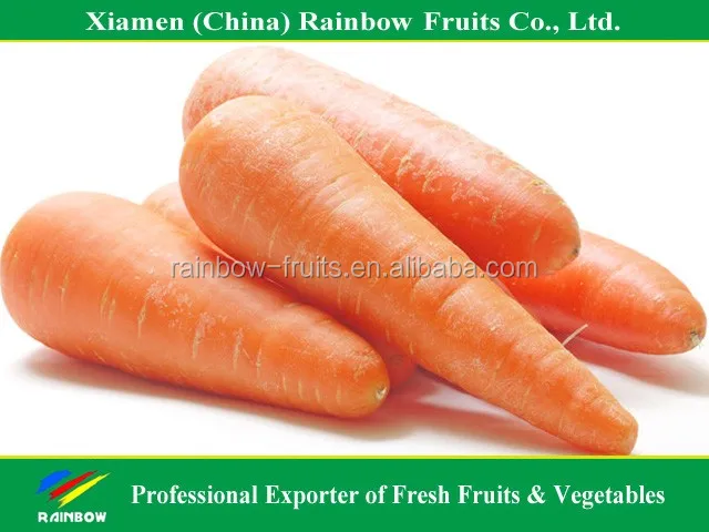 Свежая китайская красная морковка в 2016