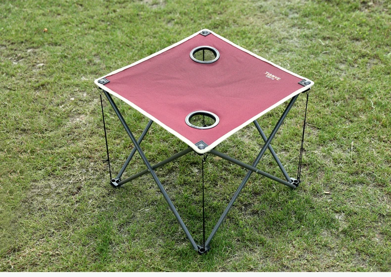  Tianye easy carry outing excursion picnic folding table and five comfort
