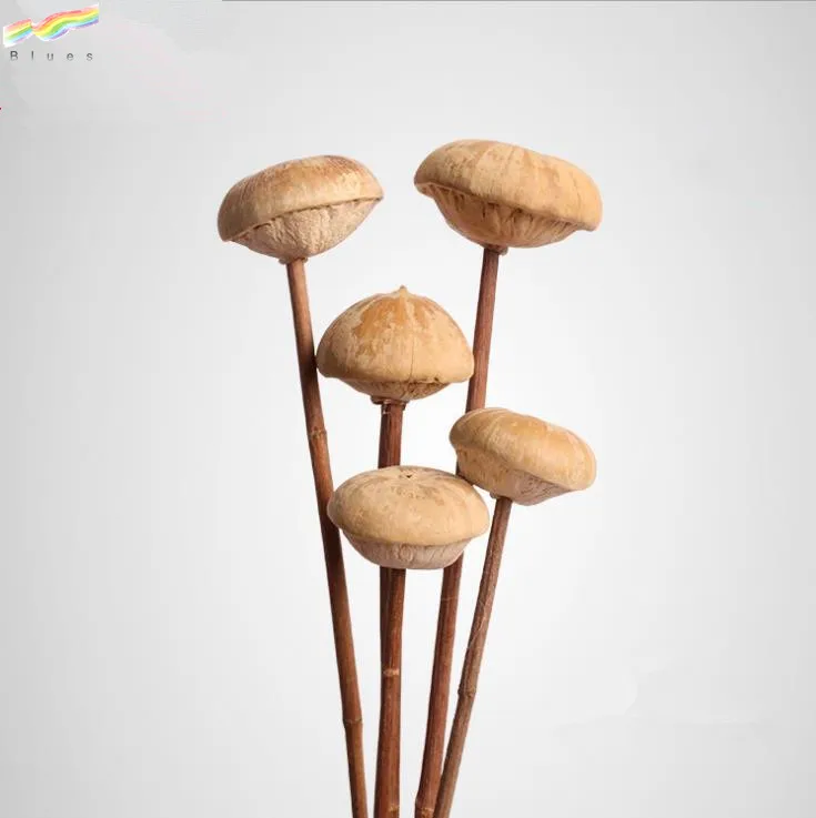 Handmade Natural Dried Pine Cone Acorn Okra Cotton Pinecone Home Decoration