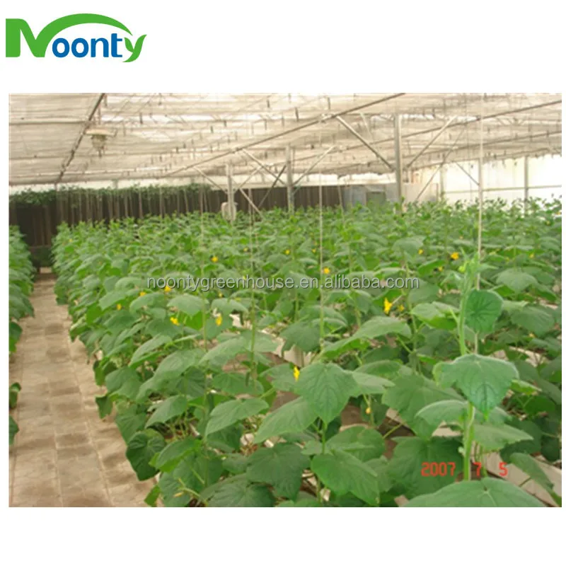 Greenhouse Equipment Farm Irrigation System Fertilizer Machine for Lettuce/Tomato/Cucumber/Eggplant/Cherry/Pepper/Herb/Rose Grow