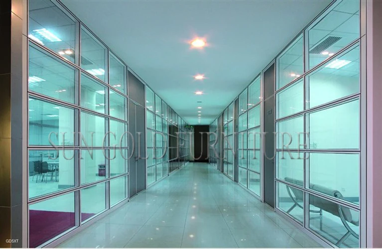 Luxury Black Frame Types of Glass Wall Widely Used Office Room Dividers (SZ-WS572)